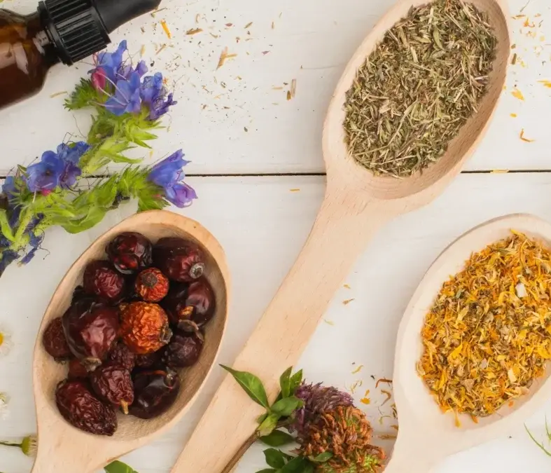 The 11 essential qualities of the naturopath: pillars of holistic health