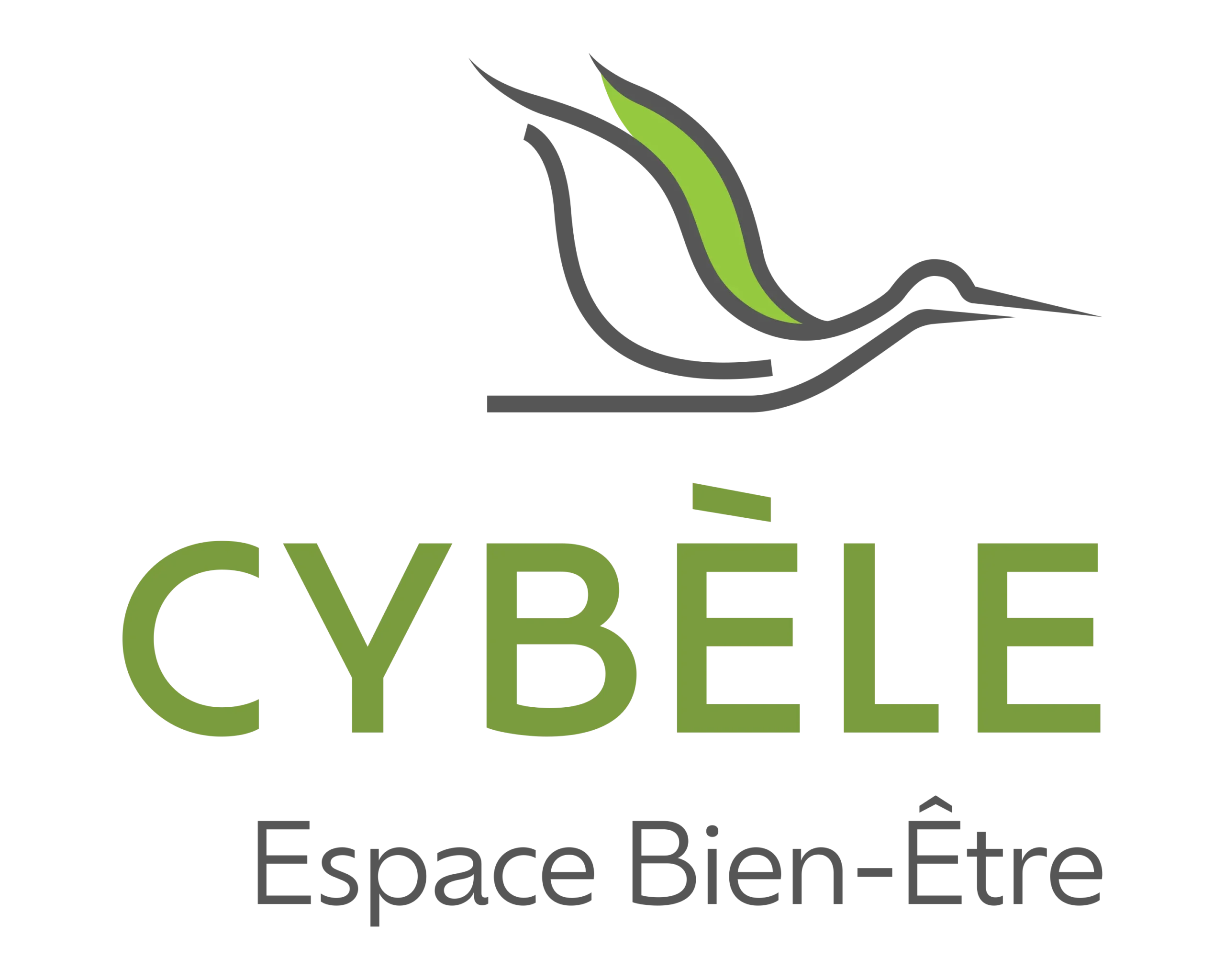 Logo Cybèle Espace Bien-Être